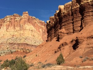 09676166-F690-40A9-A363-A723C683C434