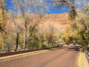 1B652606-2223-446F-A1CC-BBEEEB2302D3