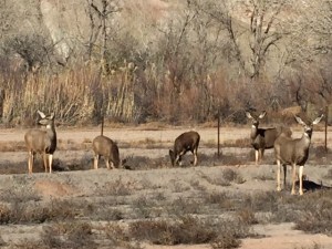 263A5E66-B393-49A8-AF49-E0F11780C54B