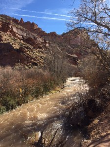 3C7767BE-59F9-470B-B9FB-F82332D715F5