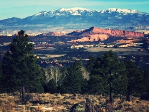 3E0DEAE4-8EF3-4AEB-999F-0F117ADD2D6A