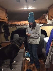 6AF378C2-6E2E-4983-8534-8857DE899990