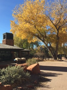 81F6F1B9-D6FD-4C99-8CC6-B95FF260D50E