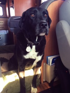 87B17713-E49A-45FA-9975-1F362A7D7601