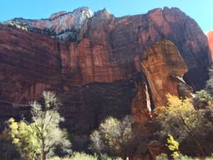 8BE0E543-532F-4093-9637-6D41D0A7AC5D