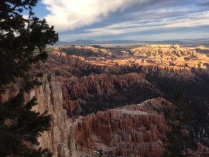 950ADD71-1634-44CA-B904-432AFFC6E18C