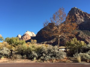 9556FCA0-16CA-493B-BFE3-91CA151CD50E