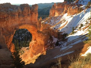 A1B52190-F934-498A-995B-3047CB5AA99E