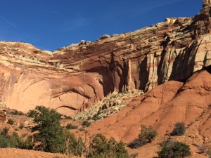 B29C39CE-4E93-4E63-97DB-4BEFF52D7C3E