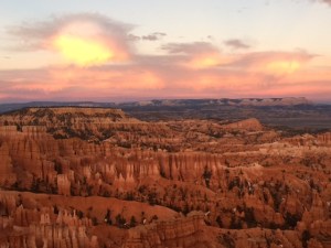 D075D510-54AA-4279-AC22-86E33DC7726D