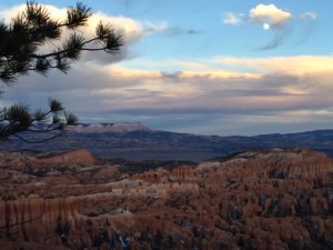 D494A78C-B7F8-425F-BD29-325A9B0AD0FE