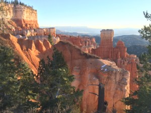 DF522EC6-3213-4BEC-971D-9BCCCA8E51C8