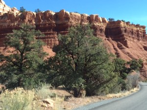 DF53E74F-A978-4C0F-80F2-32CB0DC80E6E