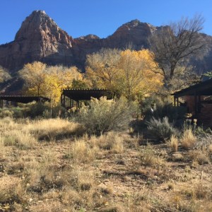 E30A9569-968A-4A73-B5E9-2F381846B535